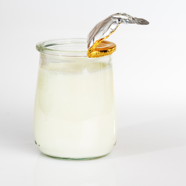 I cani possono mangiare lo yogurt? Quali sono i vantaggi dello yogurt per cani Amici e Natura iTALIA I cani possono mangiare lo yogurt? Quali sono i vantaggi dello yogurt per cani Amici e Natura iTALIA